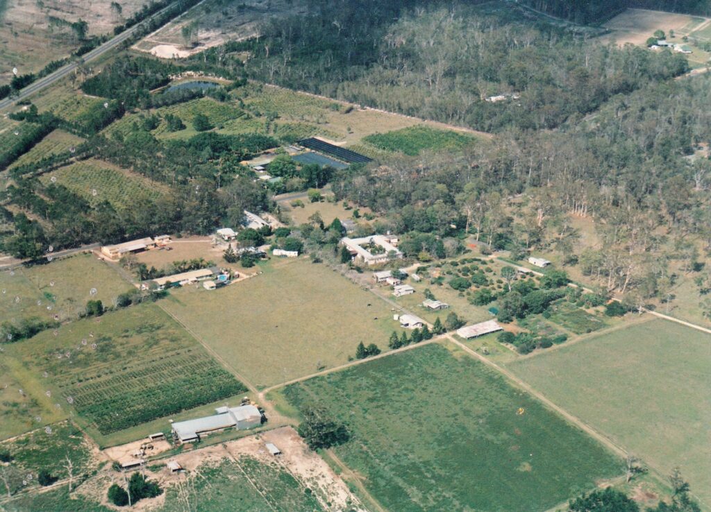 Figure 11: Aerial photograph, St Michael's Abbey, Abbey Museum, and farm, 1991. The college and Abbey Medieval Festival site (not pictured) are situated to the upper right of this image (St Michael's Abbey).