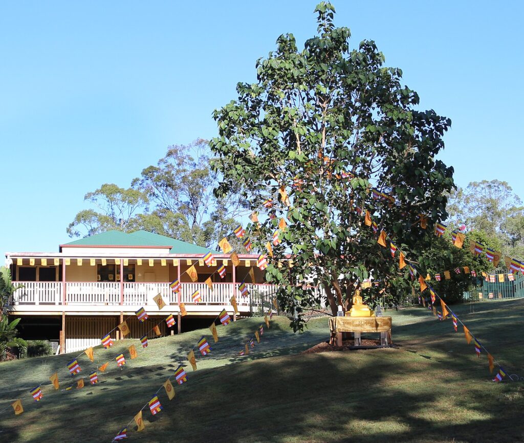 Figure 11: Dhammagiri Dhammahall and bodhi tree, April 2024 (Dhammagiri Forest Hermitage).